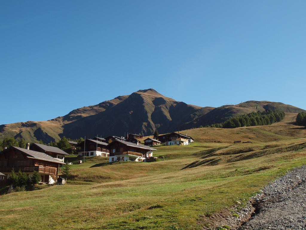 Chalet Gerbera Apartman Rosswald Kültér fotó